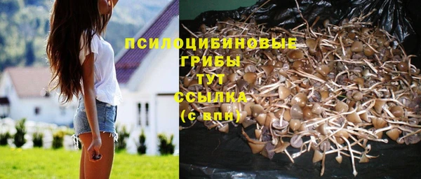 Альфа ПВП Володарск