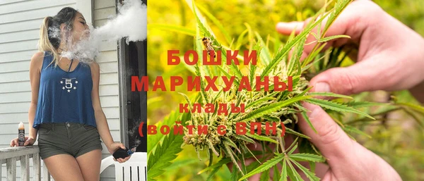 гидра Волосово