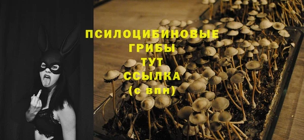 гидра Волосово