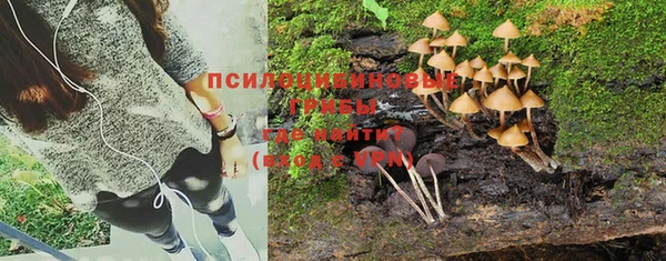 Альфа ПВП Володарск